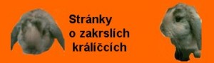 Obrazek